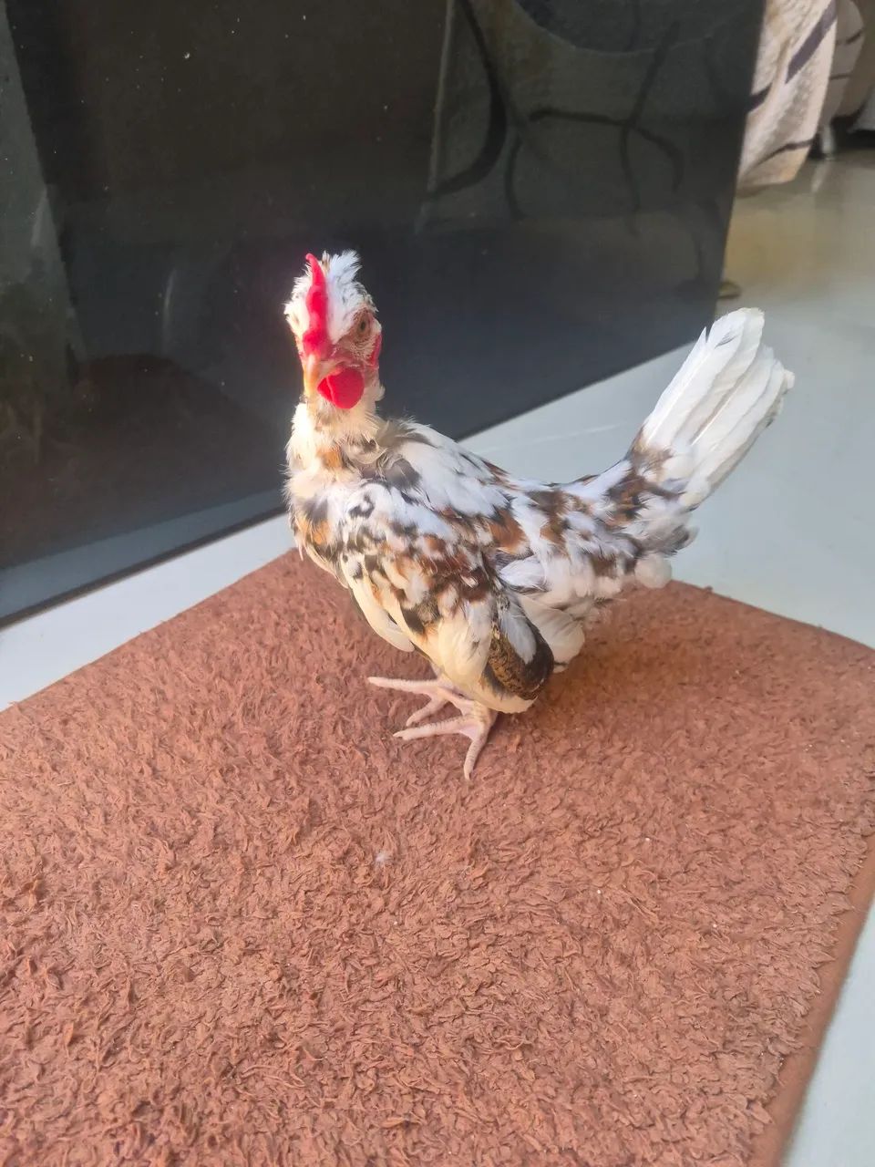 Mini garnize 