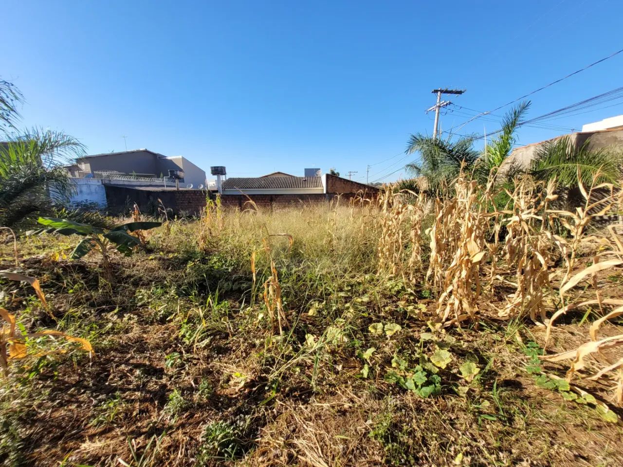 Terreno Padrão em Uberlândia - Foto 3