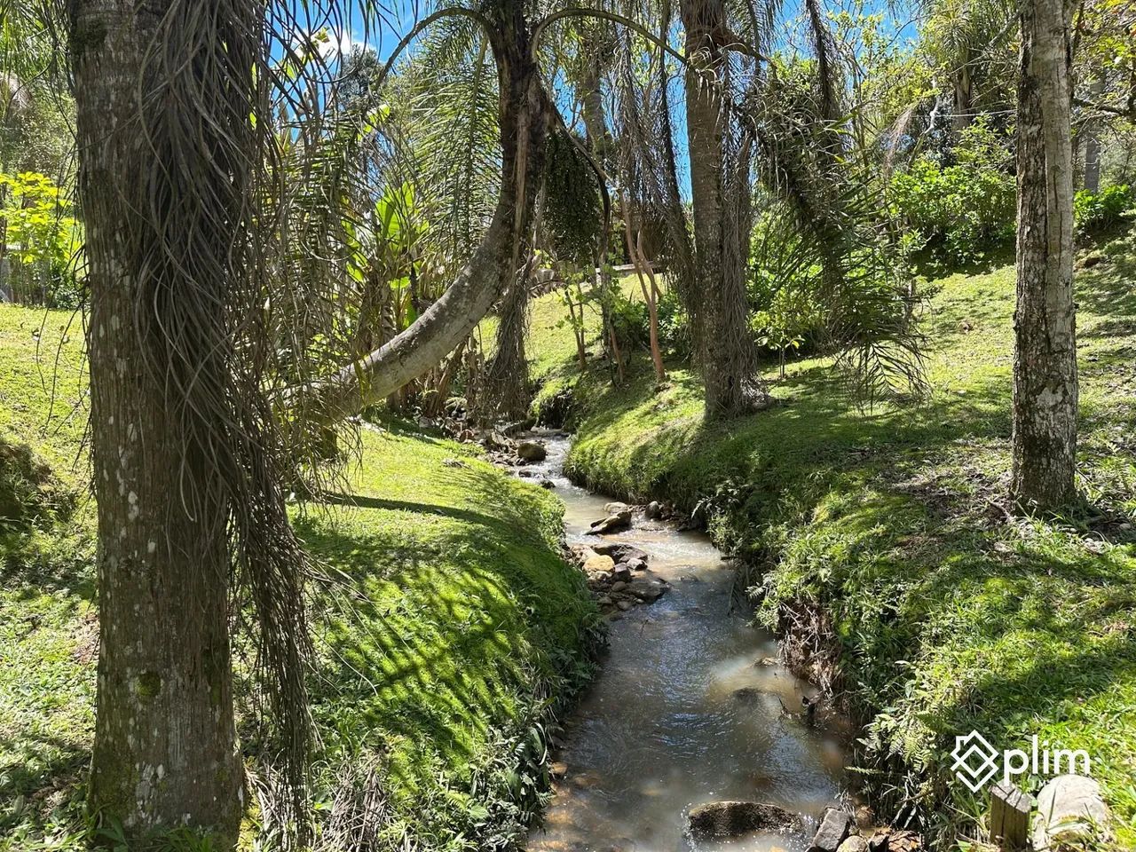 Sítio com RIO e Cachoeira em Alfredo Wagner  SC - Foto 2