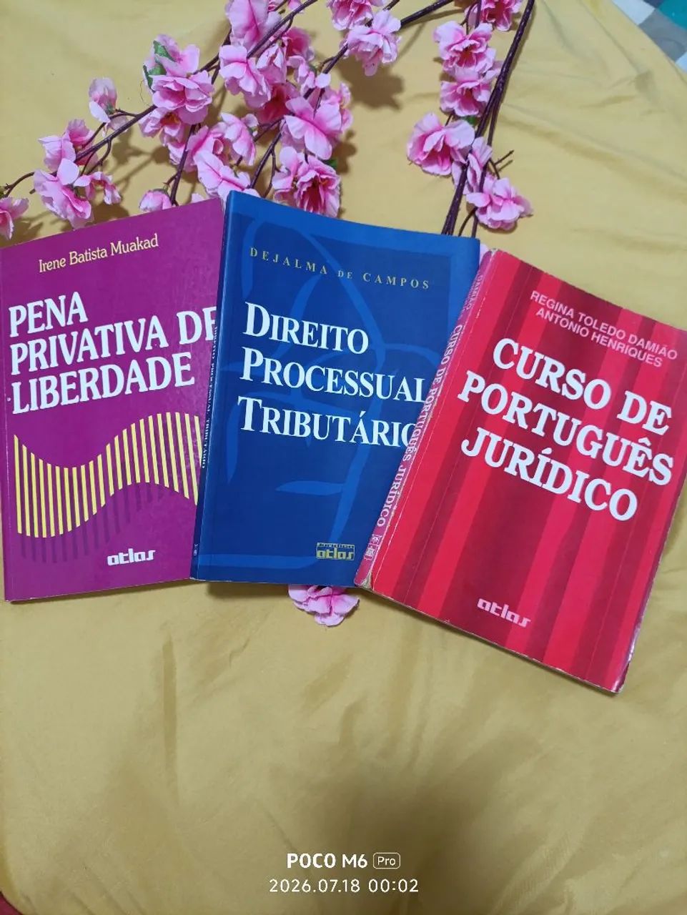 Pena Privativa de Liberdade - Autora: Irene Batista Muakad<br><br>Autora: Irene Batista Muakad - Foto 3