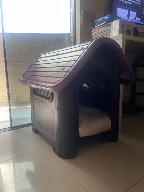 Casa de Cachorro nº 4 (usado)
