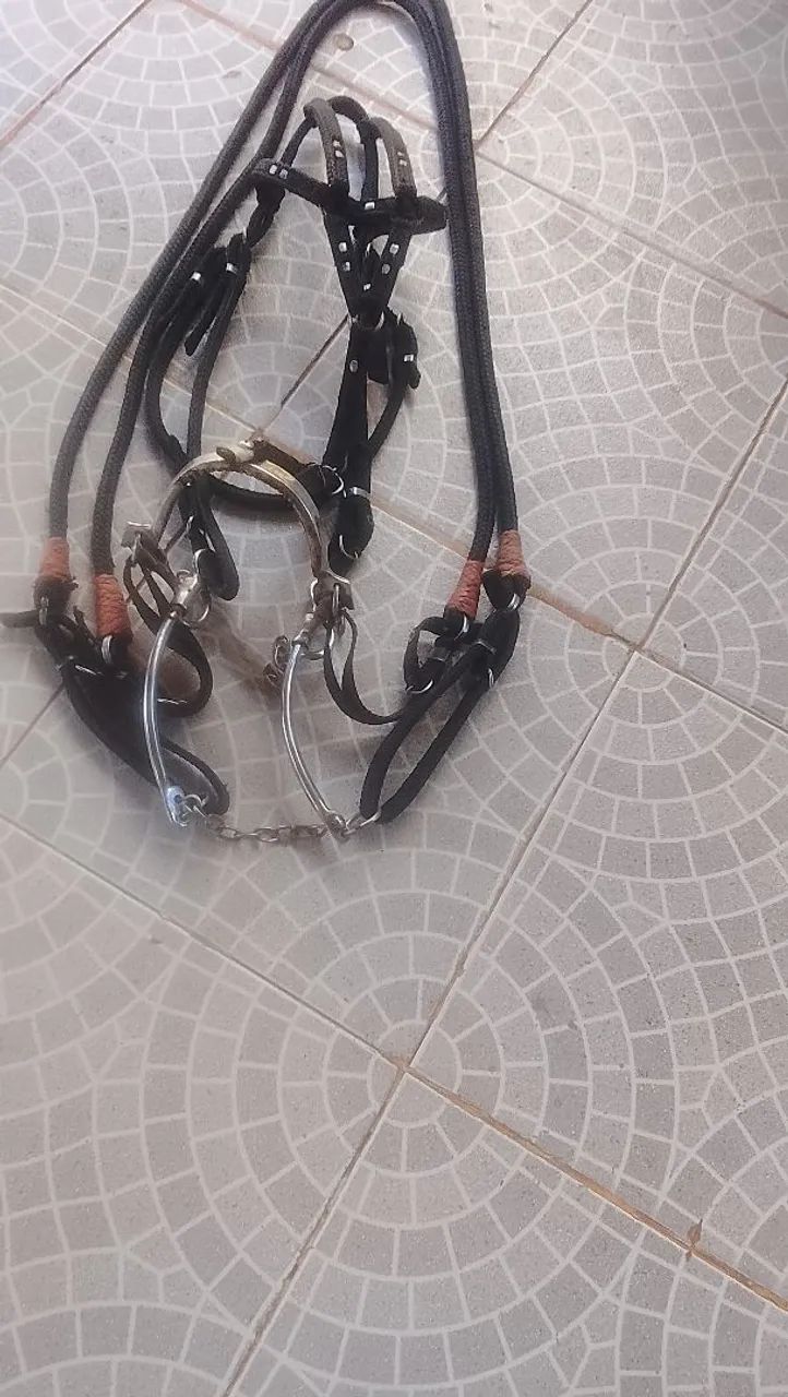 Cabeçada pouco usada 