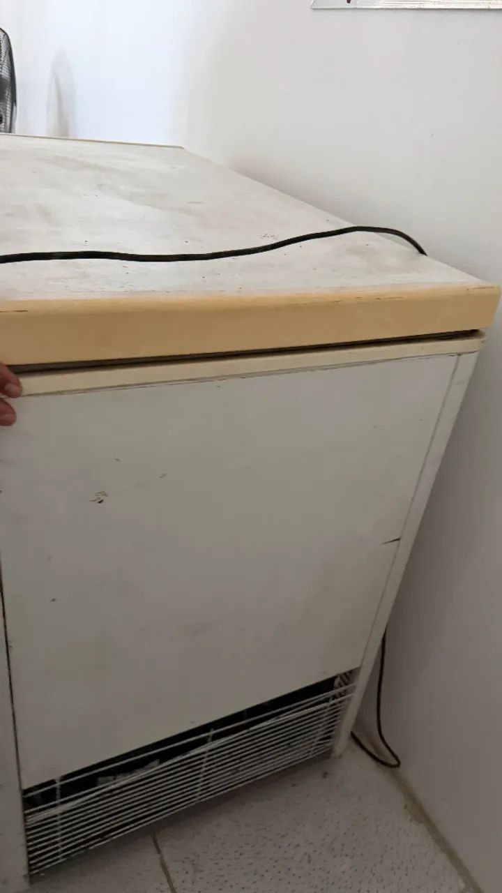 Freezer horizontal duas portas. Funcionando perfeitamen *00 - Foto 4