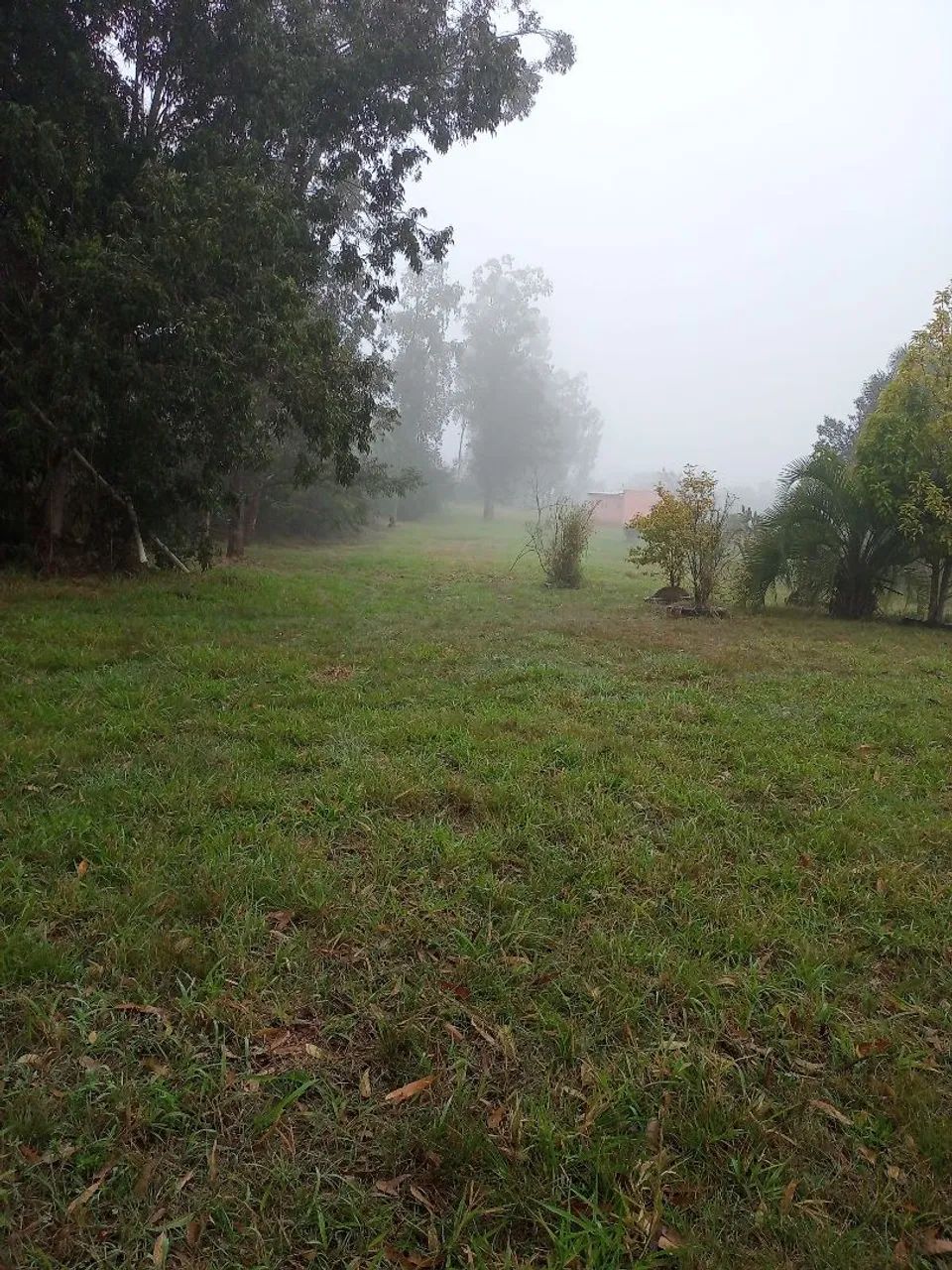 Campo com 14 hectares  - Foto 15