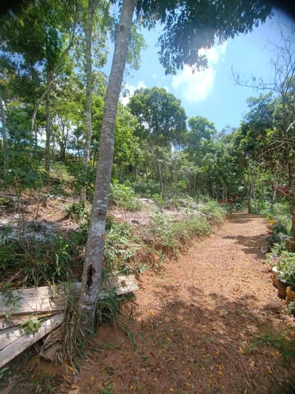 Chácara com casa em Santa Leopoldina  - Foto 3