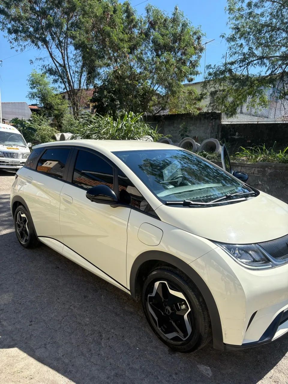 BYD Dolphin EV (Elétrico) 2024 - Foto 4