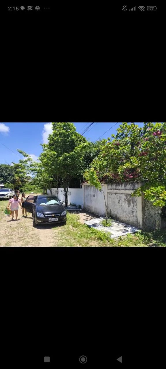 Foto - Tamandaré - 