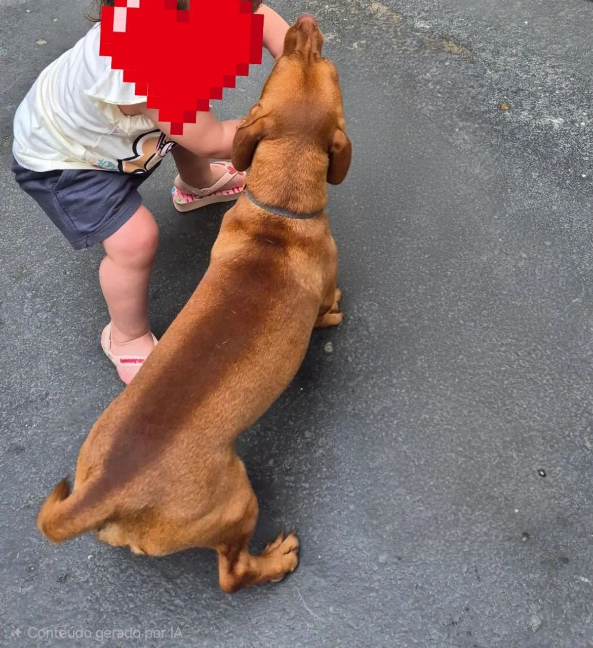 Doação do Bart (cachorro) - Foto 2