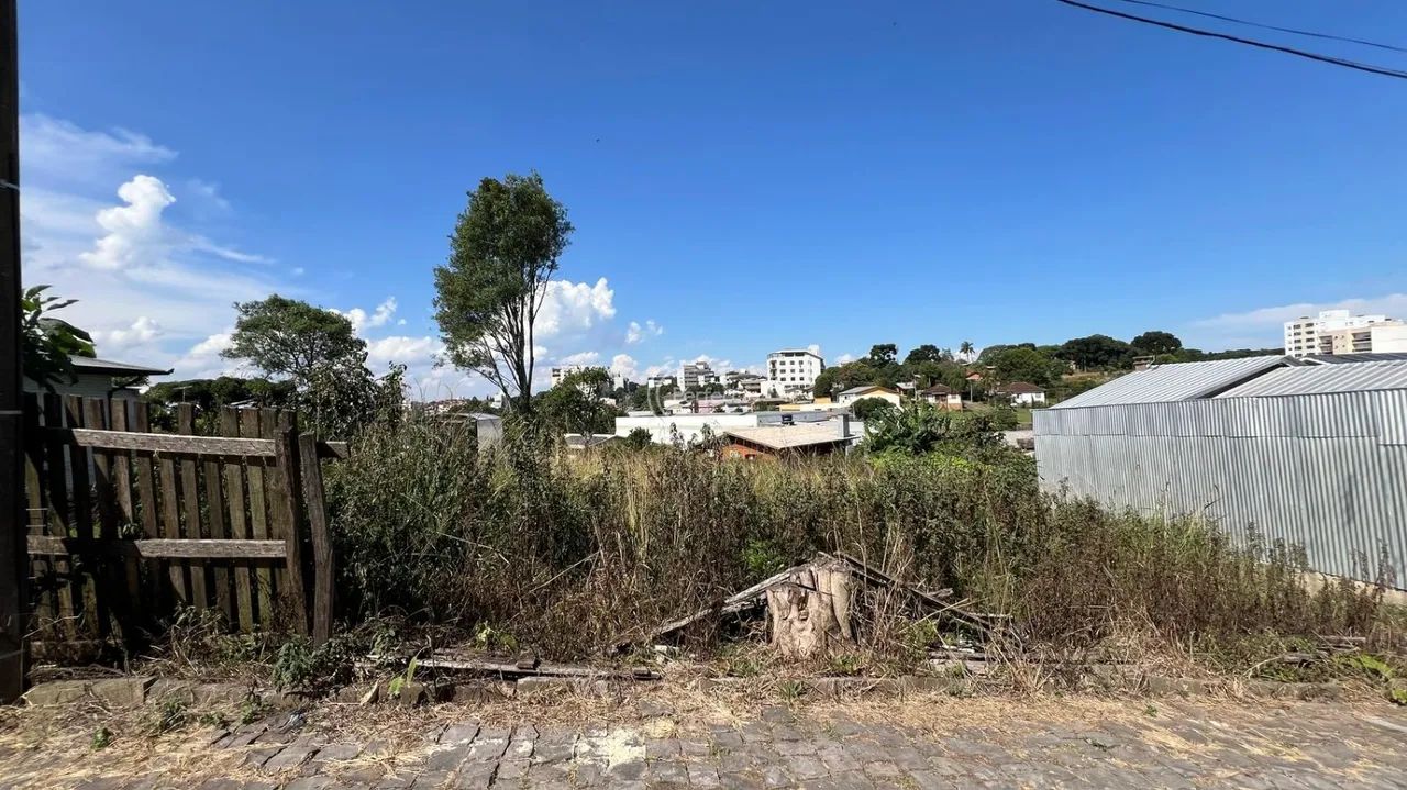 Terrenos - Bela Vista - Foto 5