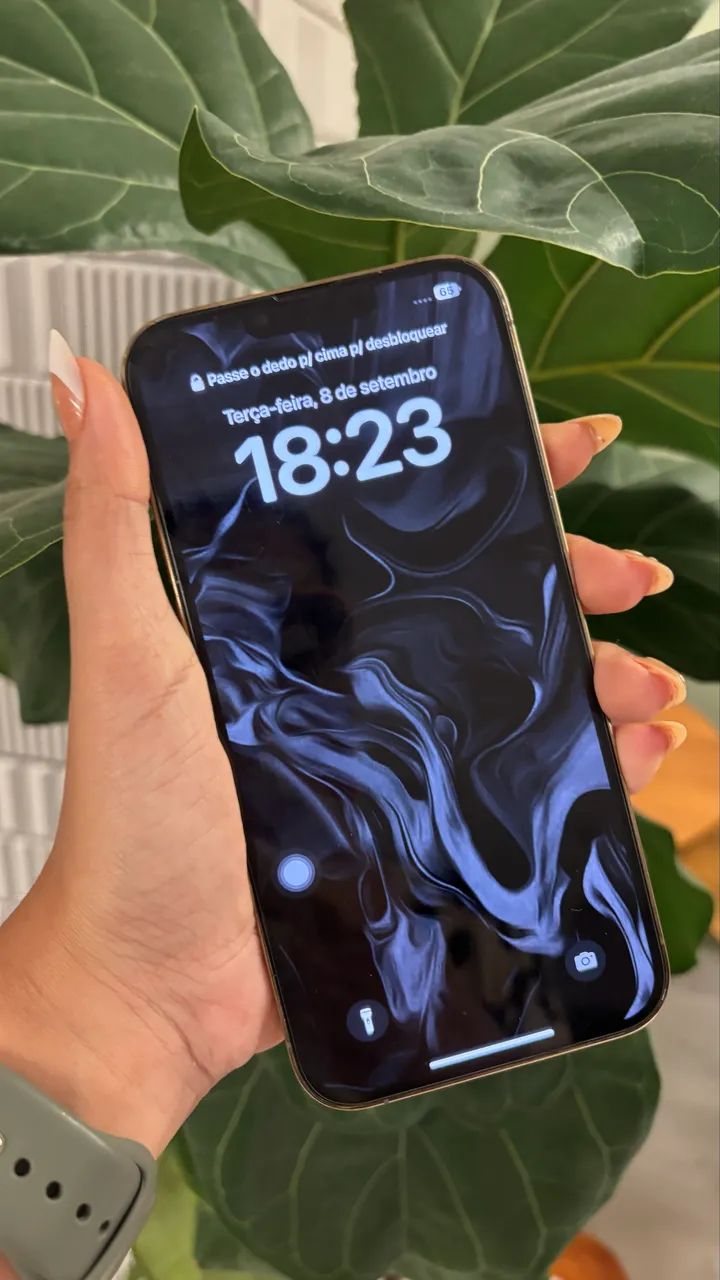 iPhone 13 Pro Max 512GB - Foto 3