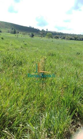 Fazenda á 90 Km de Eunápolis - Foto 13