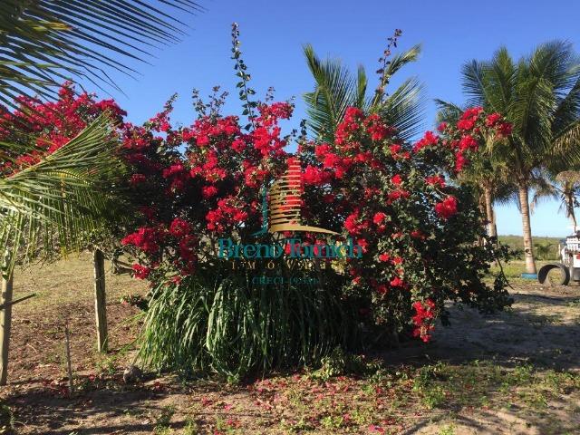 Fazenda em Belmonte-BA - Foto 8