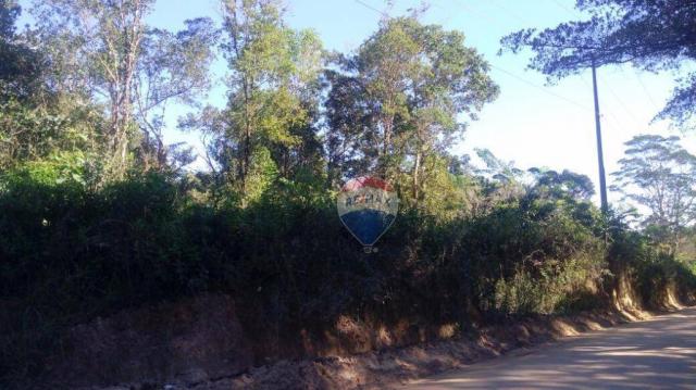 Terreno na estrada de arraial - trancoso - Foto 3