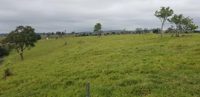 Fazenda a venda no extremo sul da bahia 170 ha - Foto 20