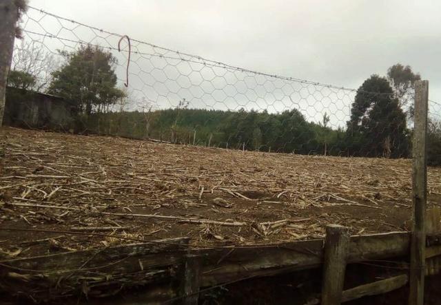 Sítio na Vila Rural (Queimadas) em Inácio Martins - Área: 5,044.09 m² - Foto 15