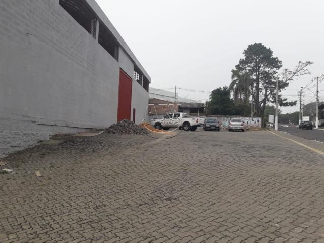 Galpão/depósito/armazém para alugar em Marrocos, Gravataí cod:2656 - Foto 4