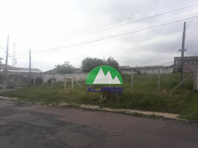 Terreno à venda, 880 m² por r$ 1.100.000 - novo mundo - curitiba/pr - Foto 4