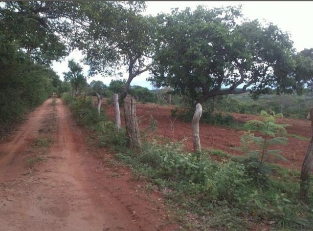 Pequeno sitio próximo de uruana de minas - Foto 7