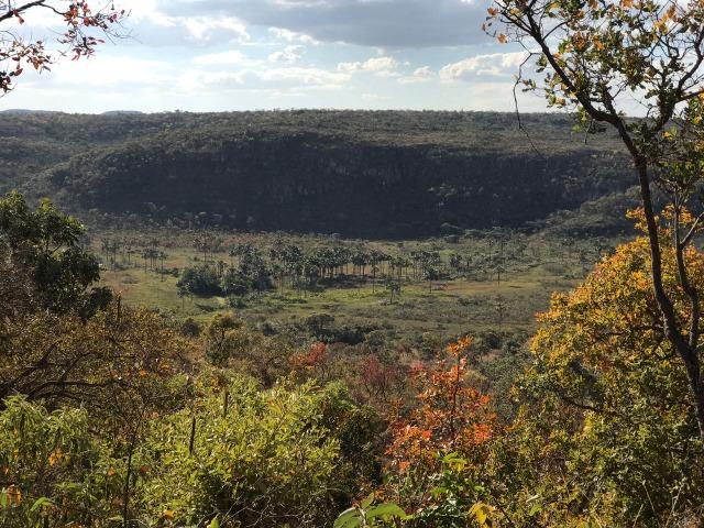 Chácara ha 14 Km de Alto Paraíso de Goiás - Chapada dos Veadeiros - Foto 12