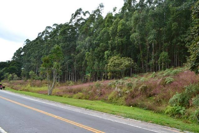 Terreno residencial à venda, Água Quente, Teresópolis. - Foto 8