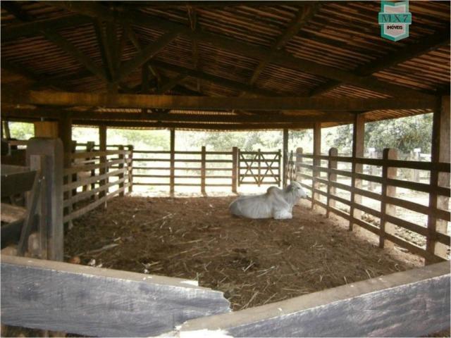 Fazenda na cidade de Ibirataia a 340 Km de Salvador e 320 Km de Camaçari - Foto 10