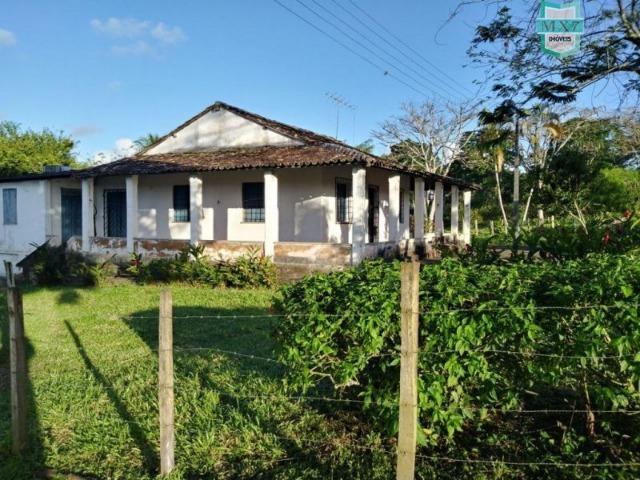 Fazenda plana, completa com 564 Hectares. Produção de Cacau e gado - Foto 6