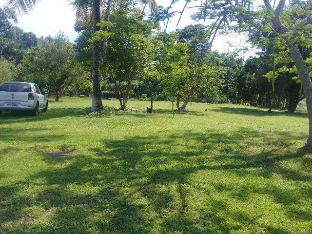 Fazenda toda formada a 99 km de Várzea Grande sentido Cáceres - Foto 13