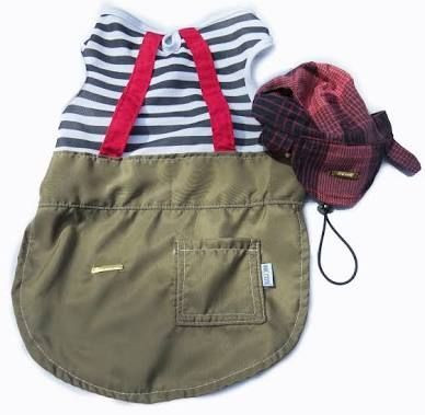 Roupa chaves para Pet
