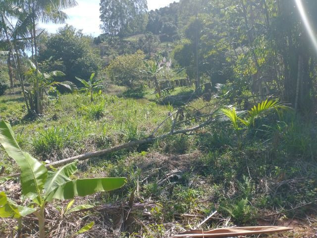 Chácara Viana 4 500 mil metros quadrados - Foto 14