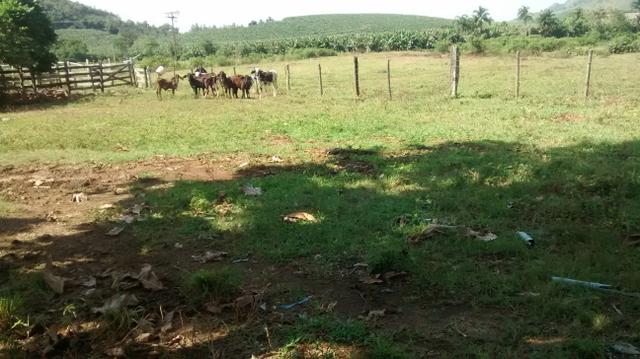 Fazenda 26 alqueires cariacica - Foto 5