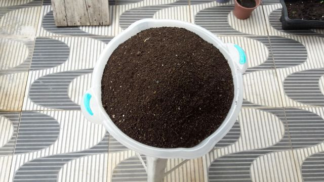 Húmus de Minhoca - Foto 3