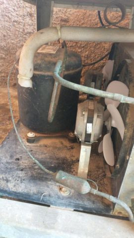 Ordenha e tanque - Foto 2