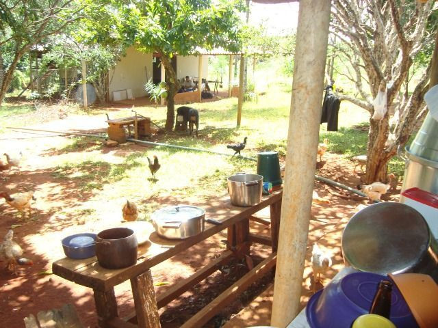 Chácara Excelente 2,5 Alqueires, Próximo à Rozelandia-Bela Vista de Goiás - Foto 4