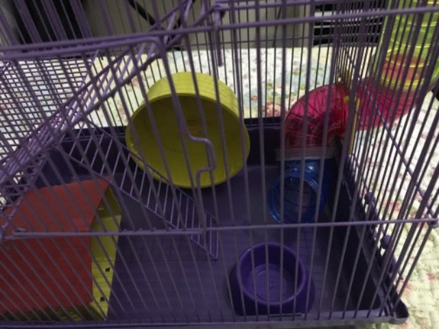 Gaiola para Hamster com labirinto - Foto 3