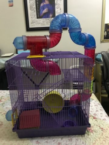 Gaiola para Hamster com labirinto