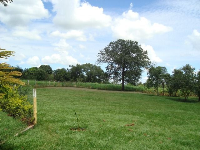 Chácara Excelente 2,5 Alqueires, Próximo à Rozelandia-Bela Vista de Goiás - Foto 10
