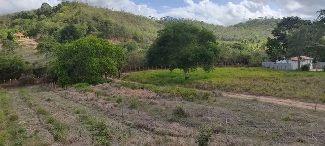 Sítio lindo em Araçás- Bahia  - Foto 2