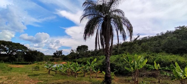 vendo chacara - Foto 7