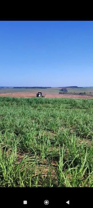 Fazenda de cana melhor preço  - Foto 5