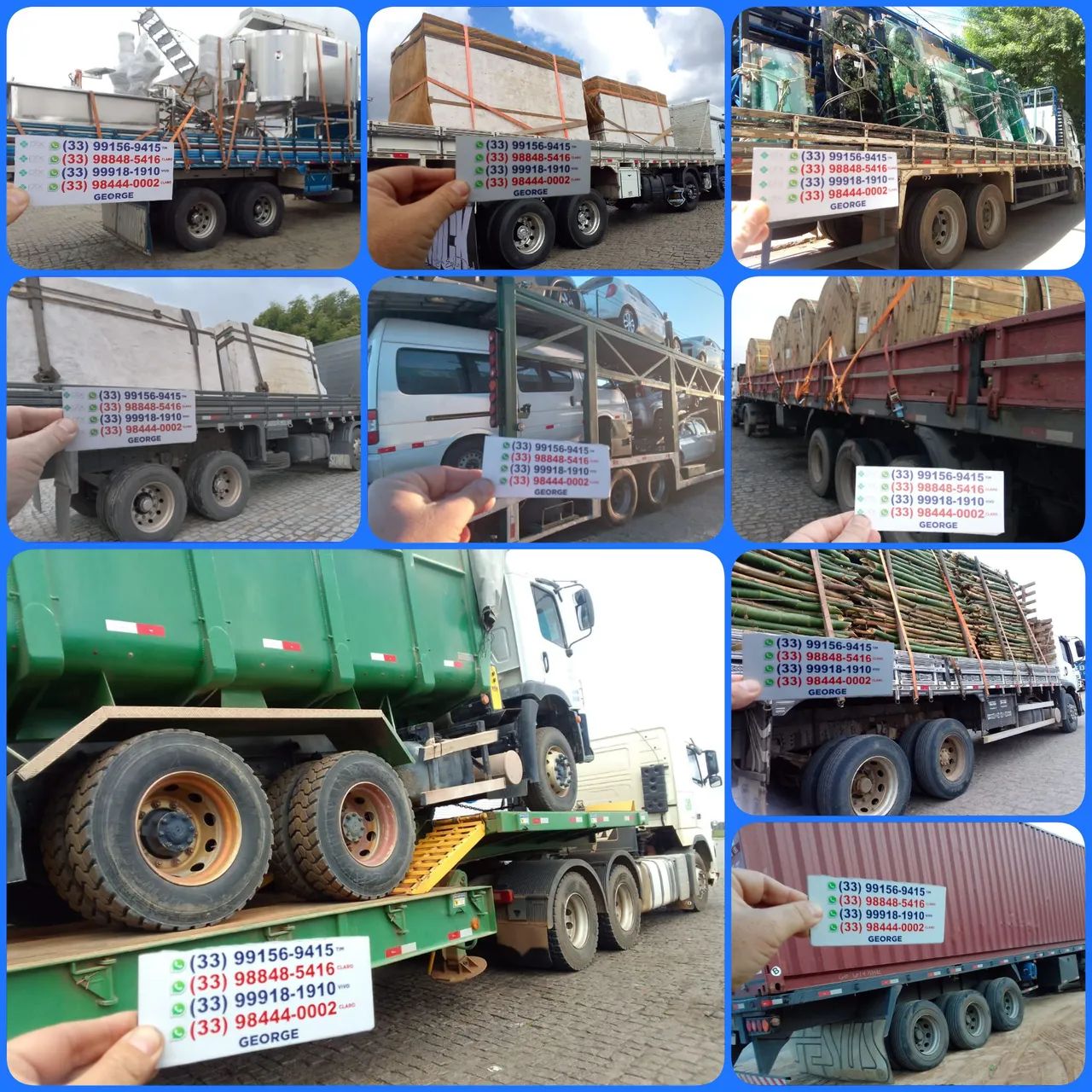 GARRA SUCATEIRA GARRA FLORESTAL  - Foto 5