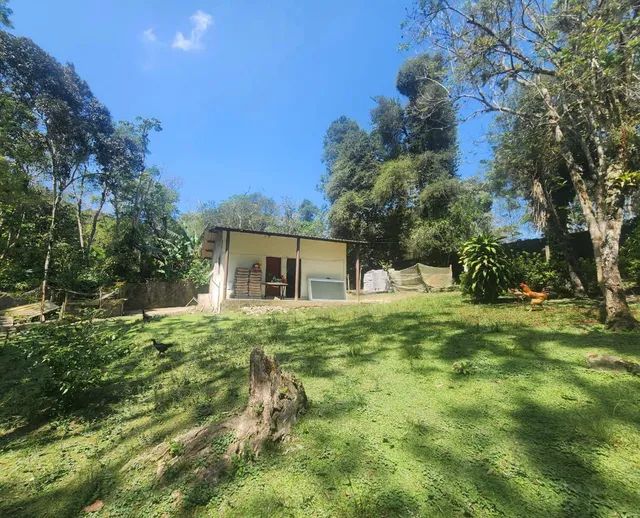 1.2 hectares 217 mil reais rico em água  - Foto 3