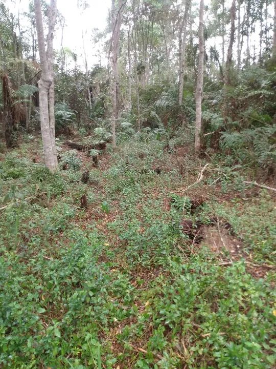 Área 37.650 m2 Embú Guaçu/Parelheiros  - Foto 9
