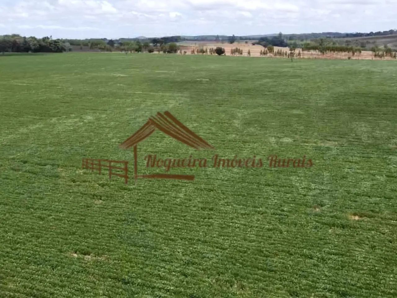 Sítio com 16 Alqueires na Região De Avaré-SP - Foto 10