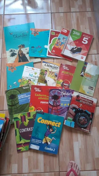 Livros escolares - diversos - ótimo estado