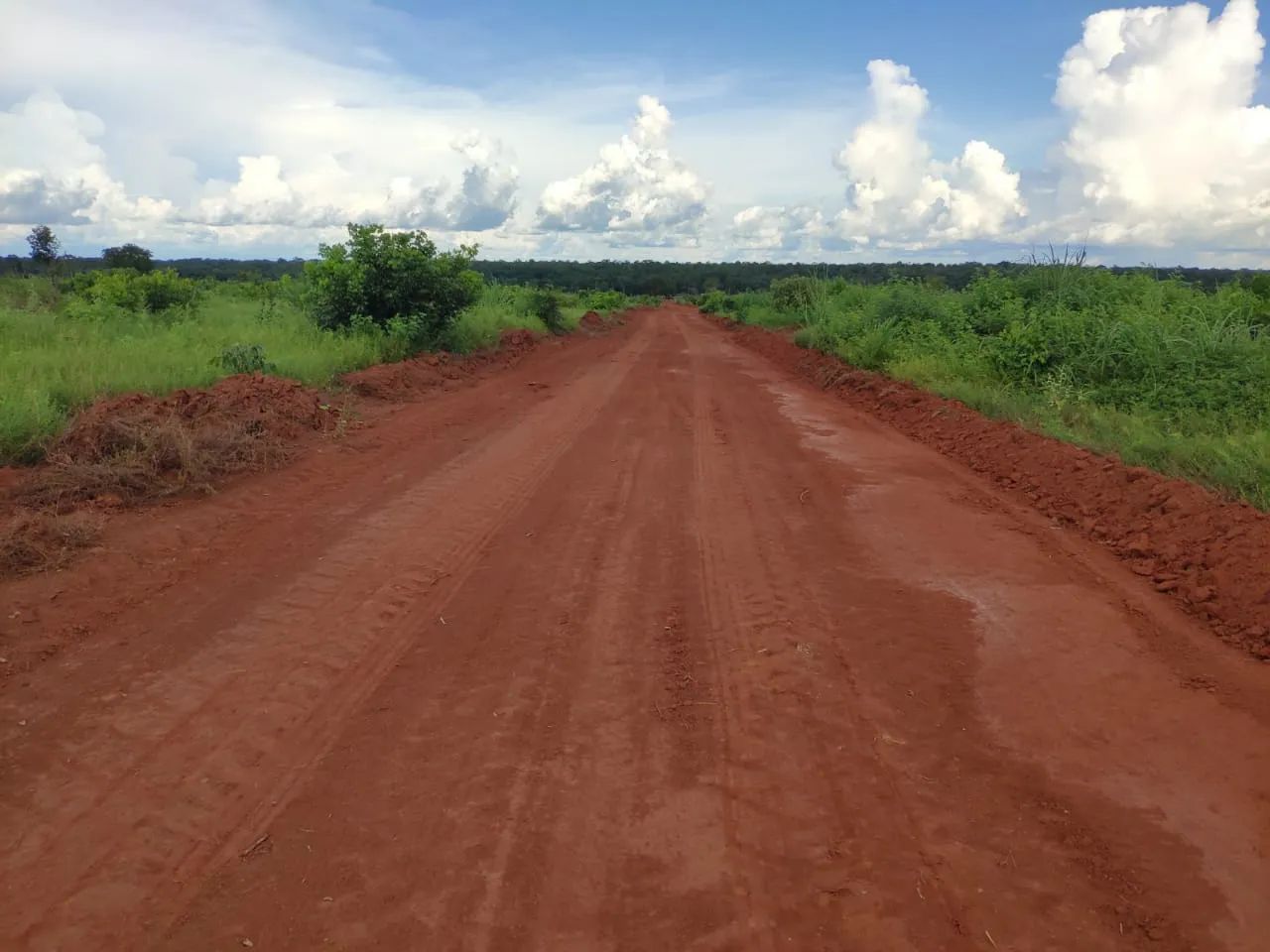 Vendo fazenda em Tocantins - Foto 5