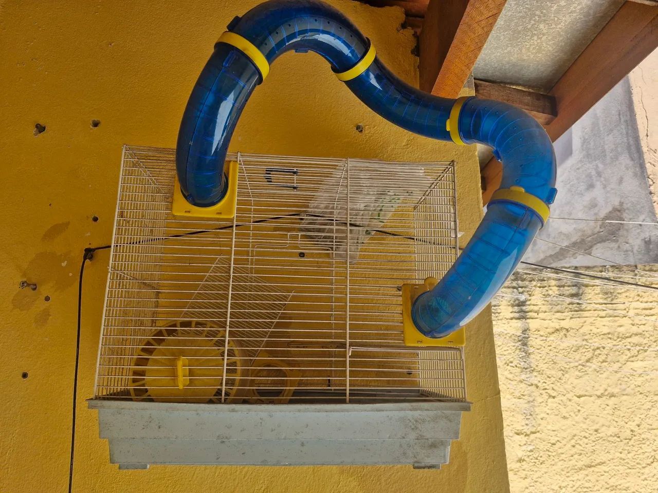 Túnel para Roedores - Brinquedo Divertido para seu Pet