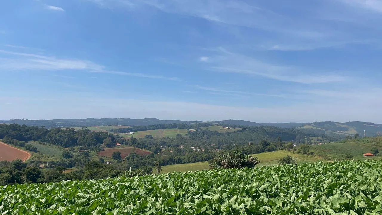 500m² de Paz, Ar Puro e Contato com a Natureza  Só em Ibiúna! - Foto 3