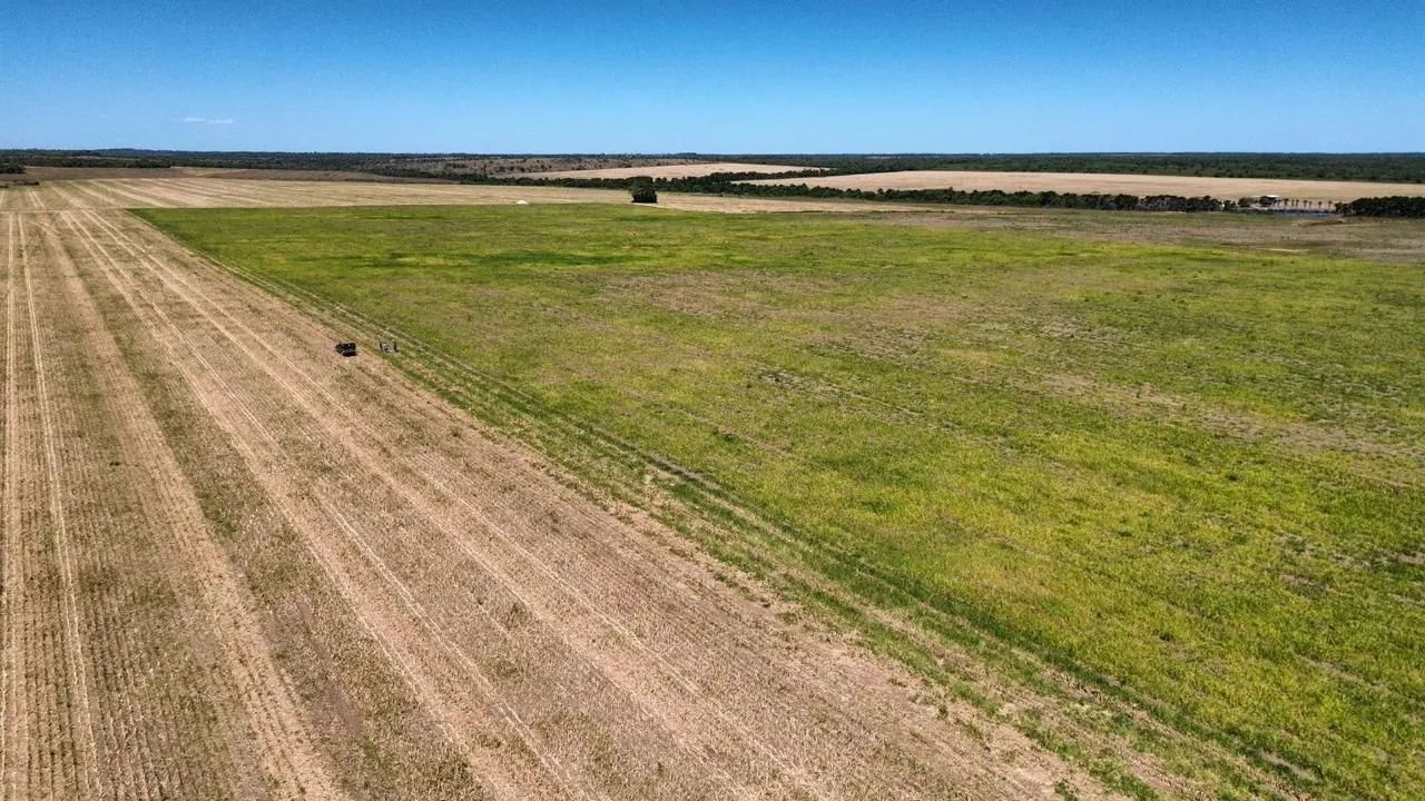 Fazenda  Cristalândia-To 1+4 iguais  - Foto 3