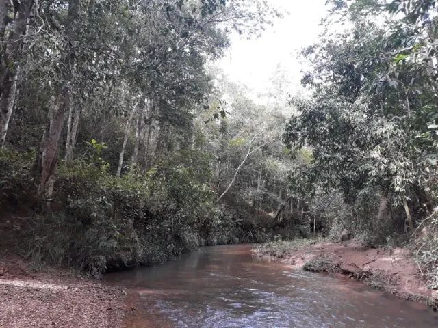 Chácara/Sitio  - Foto 4