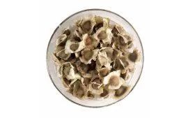 Sementes de Moringa para produção (500 unidades)